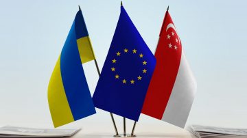 Singapore and Ukraine removed from EU safe travel list