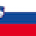 Slovenia Flag